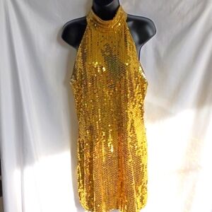 Stenay Vintage Gold Sequin Embroidered Mini Dress
